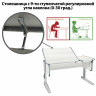 Стол-парта регулируемый "ДЭМИ" СУТ.42, 1200х550х530-815 мм, серый каркас, пластик серый, рамух белый (КОМПЛЕКТ) по низкой цене оптом 