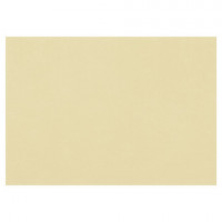 Бумага для пастели (1 лист) FABRIANO Tiziano А2+ (500х650 мм), 160 г/м2, песочный, 52551006