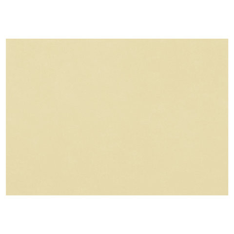 Бумага для пастели (1 лист) FABRIANO Tiziano А2+ (500х650 мм), 160 г/м2, песочный, 52551006 по низкой цене оптом 