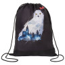 Мешок для обуви ПИФАГОР, 1 отделение, 42х34 см, "White Owl", 270182 по низкой цене оптом 