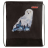 Мешок для обуви ПИФАГОР, 1 отделение, 42х34 см, "White Owl", 270182 по низкой цене оптом 