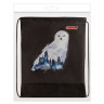Мешок для обуви ПИФАГОР, 1 отделение, 42х34 см, "White Owl", 270182 по низкой цене оптом 