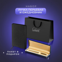 Ручка перьевая GALANT Versus, корпус золотистый, ежедневник недат. А5 черный, пакет, 880906