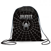 Мешок для обуви BRAUBERG, с петлёй, карман на молнии, полиэстер, 47х37 см, "Dangerous spider", 270911