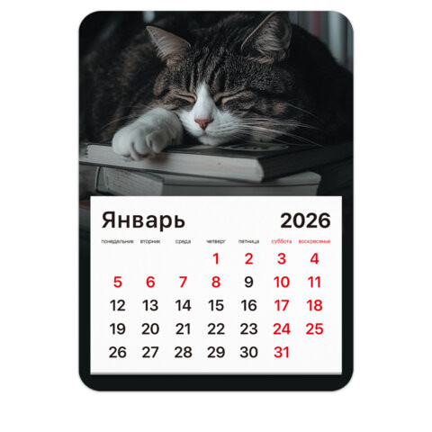 Календарь отрывной на магните 2026, BRAUBERG, 130Х180мм, склейка, Спящий кот, 117292 по низкой цене оптом 