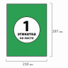 Этикетка самоклеящаяся 210х297 мм, 1 этикетка, зеленая, 70 г/м2, 50 листов, BRAUBERG, сырье Финляндия, 127508