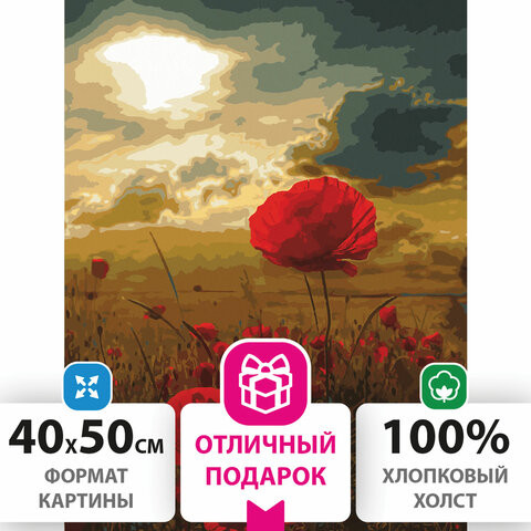 Картина по номерам 40х50 см, ОСТРОВ СОКРОВИЩ "Маковое поле", на подрамнике, акриловые краски, 3 кисти, 662493 по низкой цене оптом 