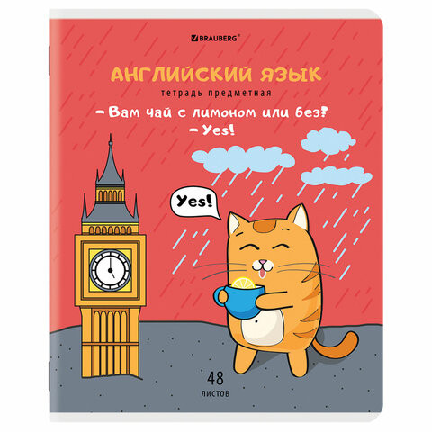 Тетрадь предметная "КОТ-ЭНТУЗИАСТ" 48л, TWIN лак, АНГЛИЙСКИЙ ЯЗЫК, клетка, BRAUBERG, 404558 по низкой цене оптом 