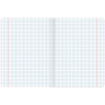 Тетрадь предметная COLOR 48 листов, матовая ламинация, лак, 70 г/м2, ФИЗИКА, клетка, подсказ, BRAUBERG, 403988 по низкой цене оптом 