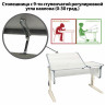 Стол-парта регулируемый "ДЭМИ" СУТ.42, 1200х550х530-815 мм, бежевый каркас, пластик серый, рамух белый (КОМПЛЕКТ) по низкой цене оптом 