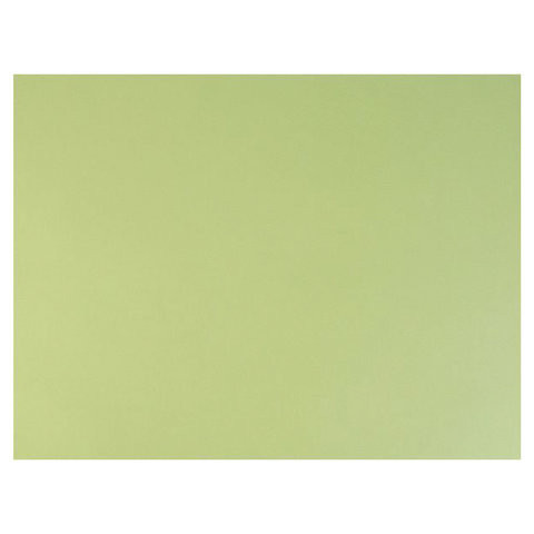 Бумага для пастели (1 лист) FABRIANO Tiziano А2+ (500х650 мм), 160 г/м2, салатовый теплый, 52551011 по низкой цене оптом 