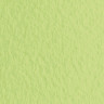 Бумага для пастели (1 лист) FABRIANO Tiziano А2+ (500х650 мм), 160 г/м2, салатовый теплый, 52551011 по низкой цене оптом 