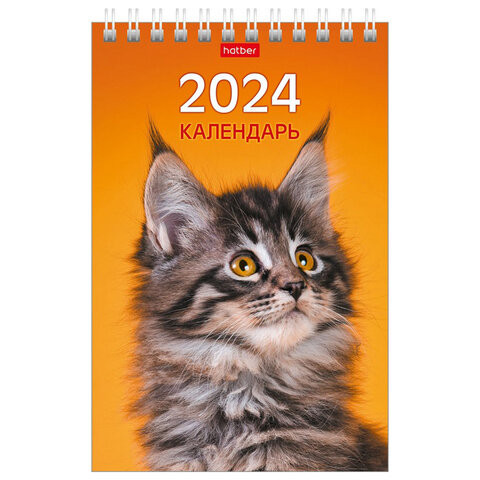 Календарь-домик настольный на гребне, 2024г 105х160мм, вертик, МУРчат Коты, HATBER, 1, 12КД6гр_28412 по низкой цене оптом  Календарь-домик настольный на гребне, 2024г 105х160мм, вертик, МУРчат Коты, HATBER, 1, 12КД6гр_28412 по низкой цене оптом