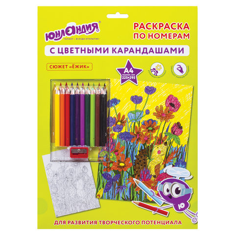 Раскраска по номерам А4, ЮНЛАНДИЯ "ЕЖИК", С ЦВЕТНЫМИ КАРАНДАШАМИ, на картоне, 661608 по низкой цене оптом 