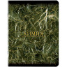 Тетради предметные, КОМПЛЕКТ 12 ПРЕДМЕТОВ, "MARBLE", 48 л., SoftTouch, фольга, BRAUBERG, 404326 по низкой цене оптом 