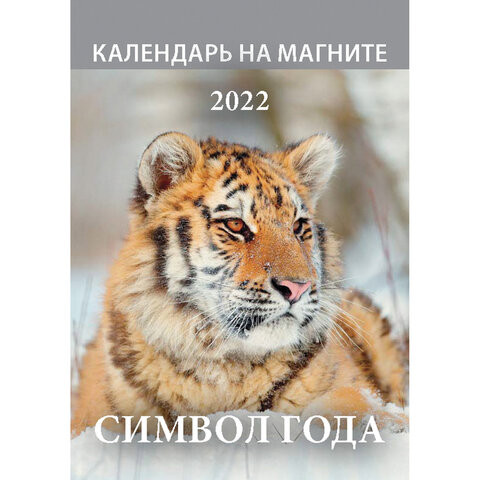 Календарь отрывной на магните 2022, "Символ года 2", календарь на каждый день, 1100010 по низкой цене оптом 