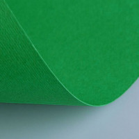 Бумага(картон) для творчества (1 лист) Fabriano Elle Erre А2+ 500*700мм, 220г/м2, зеленый, 42450711