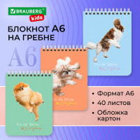 Блокнот МАЛЫЙ ФОРМАТ 108х145мм, А6, 40л, гребень, картон, клетка, BRAUBERG KIDS, "Кактусики", 114394