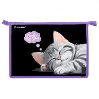 Папка для труда на молнии BRAUBERG А4, 2 отделения, органайзер, Sleeping kitten, 273401