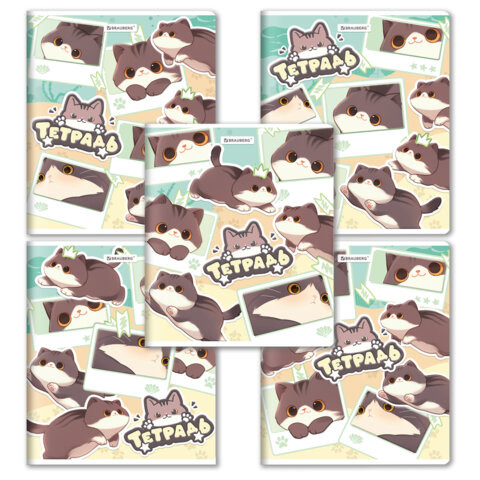 РЕЗЕРВ Тетрадь А5 48л. BRAUBERG МИЛЫЕ КОТЫ скоба, клетка, выборочный лак, 405193 по низкой цене оптом РЕЗЕРВ Тетрадь А5 48л. BRAUBERG МИЛЫЕ КОТЫ скоба, клетка, выборочный лак, 405193 по низкой цене оптом