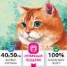 Картина по номерам 40х50 см, ОСТРОВ СОКРОВИЩ "Изумрудный взгляд", на подрамнике, акриловые краски, 3 кисти, 662496 по низкой цене оптом 