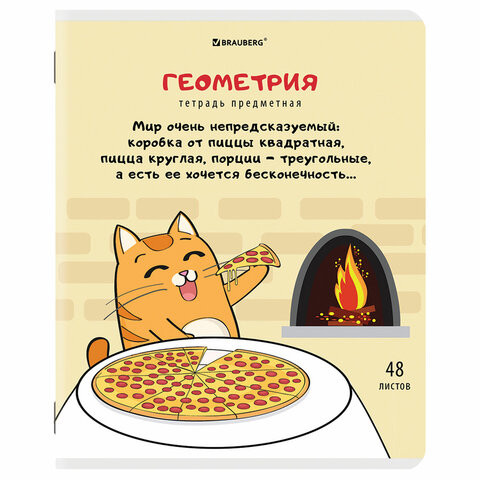 Тетрадь предметная "КОТ-ЭНТУЗИАСТ" 48л, TWIN лак, ГЕОМЕТРИЯ, клетка, BRAUBERG, 404561 по низкой цене оптом 
