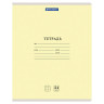 Тетрадь 24 л. BRAUBERG КЛАССИКА NEW клетка, обложка картон, АССОРТИ (5 видов), 105702 по низкой цене оптом 