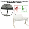 Стол-парта регулируемый "ДЭМИ" СУТ.42, 1200х550х530-815 мм, бежевый каркас, пластик бежевый, рамух белый (КОМПЛЕКТ) по низкой цене оптом 