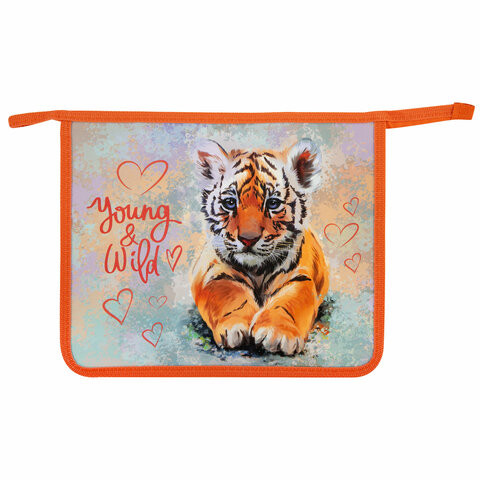 Папка для тетрадей ПИФАГОР А5, 1 отделение, пластик, на молнии, "Little tiger", 271087 по низкой цене оптом 