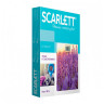 Весы напольные SCARLETT SC-BS33E047, электронные, вес до 180 кг, квадратные, стекло с рисунком по низкой цене оптом 
