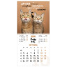 Календарь настенный перекидной 2026г, BRAUBERG, 12 листов, 28,5х28,5см, Милые котики, 116929 по низкой цене оптом 