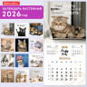 Календарь настенный перекидной 2026г, BRAUBERG, 12 листов, 28,5х28,5см, Милые котики, 116929 по низкой цене оптом 