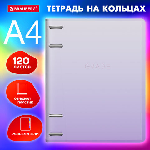 Тетрадь на кольцах БОЛЬШАЯ 305х230мм А4, 120л, пластик, с разделителями, BRAUBERG, Фиолетовый, 404623 по низкой цене оптом 
