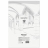 Картон белый БОЛЬШОГО ФОРМАТА, А2 МЕЛОВАННЫЙ (глянцевый), 10 листов, в папке, BRAUBERG, 400х590 мм, 124764 по низкой цене оптом Краснодар, Москва, Уфа, Казань, Барнаул, Владивосток, Хабаровск, Сахалин, Красноярск, Екатеренбург, 