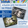 Альбом д/рис. А4 24л., гребень, обложка картон, BRAUBERG, 205х290мм, Питомцы (2 вида), 106696 по низкой цене оптом Краснодар, Москва, Уфа, Казань, Барнаул, Владивосток, Хабаровск, Сахалин, Красноярск, Екатеренбург, 