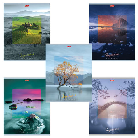 Тетрадь А5, 80 л., HATBER, скоба, клетка, обложка картон, "IMPRESSIONS" (5 видов), 80Т5В1, T242148 по низкой цене оптом Краснодар, Москва, Уфа, Казань, Барнаул, Владивосток, Хабаровск, Сахалин, Красноярск, Екатеренбург, 