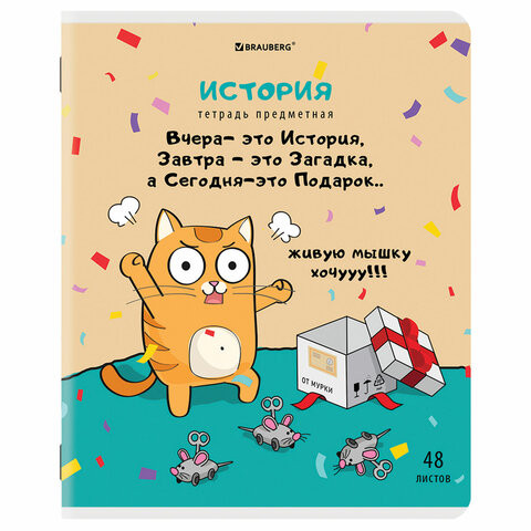 Тетрадь предметная "КОТ-ЭНТУЗИАСТ" 48л, TWIN лак, ИСТОРИЯ, клетка, BRAUBERG, 404563 по низкой цене оптом 