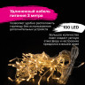 Электрогирлянда уличная ЗОЛОТАЯ СКАЗКА "Бахрома", 100 LED, 2х0,5 м, теплый белый, контроллер, 591299 по низкой цене оптом 