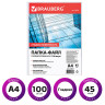 Папки-файлы перфорированные, А4, BRAUBERG, комплект 100 шт., гладкие, 45 мкм, 226831 по низкой цене оптом 