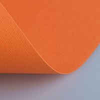 Бумага(картон) для творчества (1 лист) Fabriano Elle Erre А2+ 500*700мм, 220г/м2,оранжевый, 42450708