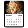 Календарь отрывной на магните 2025, BRAUBERG, 130Х180мм, склейка, Котик, 116281 по низкой цене оптом  Календарь отрывной на магните 2025, BRAUBERG, 130Х180мм, склейка, Котик, 116281 по низкой цене оптом
