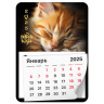 Календарь отрывной на магните 2025, BRAUBERG, 130Х180мм, склейка, Котик, 116281 по низкой цене оптом  Календарь отрывной на магните 2025, BRAUBERG, 130Х180мм, склейка, Котик, 116281 по низкой цене оптом