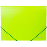 Папка на резинках BRAUBERG "Neon", неоновая, зеленая, до 300 листов, 0,5 мм, 227460 по низкой цене оптом 