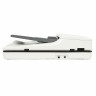 Сканер планшетный HP ScanJet Pro 2500 f1 (L2747A), А4, 20 стр./мин, АПД, 1200x1200, ДАПД по низкой цене оптом 