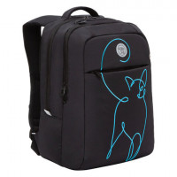 Рюкзак GRIZZLY школьный, анатомическая спинка, 2 отделения, для девочек, "NEON CAT", 40х28х16 см, RD-244-3/1