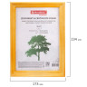 Рамка 15х20 см, дерево, багет 18 мм, BRAUBERG "Pinewood", янтарь, стекло, подставка, 391216 по низкой цене оптом 