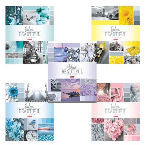 Тетрадь А5, 96 л., HATBER, скоба, клетка, обложка картон, "BEAUTIFUL COLOURE" (5 видов), 96Т5В1, T241349 по низкой цене оптом 