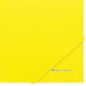 Папка на резинках BRAUBERG "Neon", неоновая, желтая, до 300 листов, 0,5 мм, 227461 по низкой цене оптом 