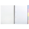 Тетрадь А4, 100 л., HERLITZ гребень, клетка, обложка картон, 5 разделителей, "College" (цвет ассорти), 0296491 по низкой цене оптом 