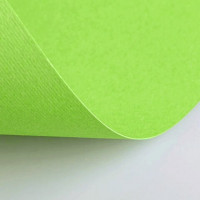 Бумага(картон) для творчества (1 лист) Fabriano Elle Erre А2+ 500*700мм, 220г/м2,св.-зелен.,42450710